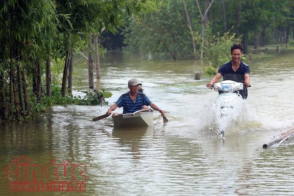 Nhiều xã của huyện Chương Mỹ (Hà Nội) vẫn bị chia cắt do nước ngập sâu ảnh 1